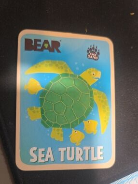 Sea Turtle Trading Card - Green